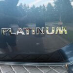 2013 Nissan Platinum full